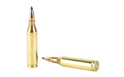 REM 243WIN 95GR CLOK TIPPED 20/200 - Image 4